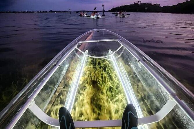 Venice Clear Kayak Glass Bottom LED Night Tour - Key Points