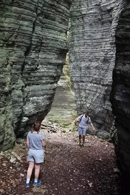 VENICE : DISCOVER WILD ANIMALS IN THE DOLOMITES - FAQs