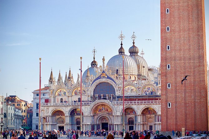 Venice in a Day: the Main Highlights of the City - Correr Museum Visit