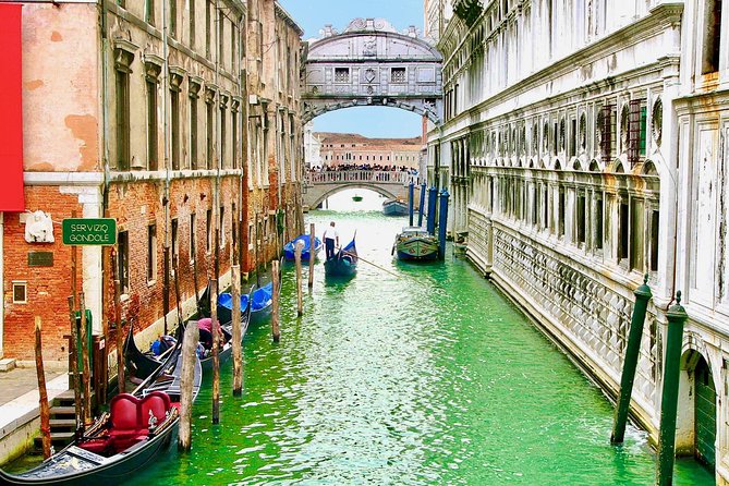 Venice in a Day: the Main Highlights of the City - Local Insights and Culture