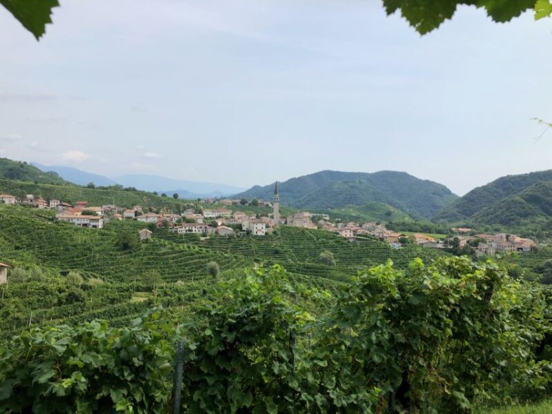 Venice: Prosecco Hills Wineries Tour with Tastings and Lunch - Key Points
