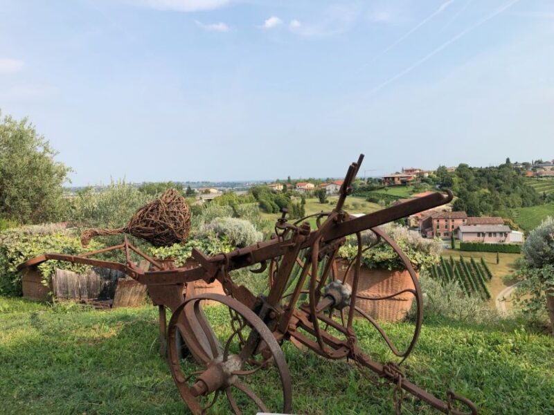 Venice: Prosecco Hills Wineries Tour with Tastings and Lunch - FAQ