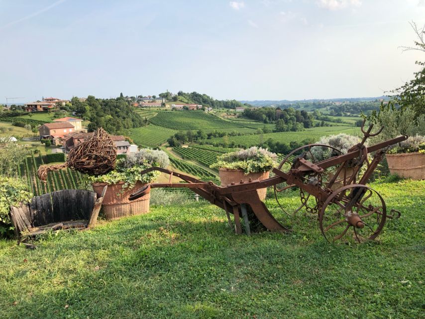 Venice: Prosecco Hills Wineries Tour With Tastings and Lunch - Key Points