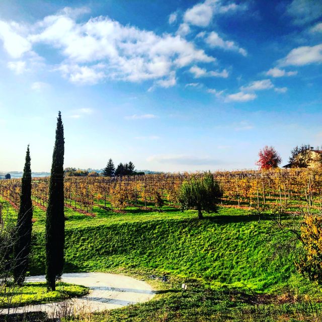 Venice: Prosecco Hills Wineries Tour With Tastings and Lunch - Savoring Traditional Lunch