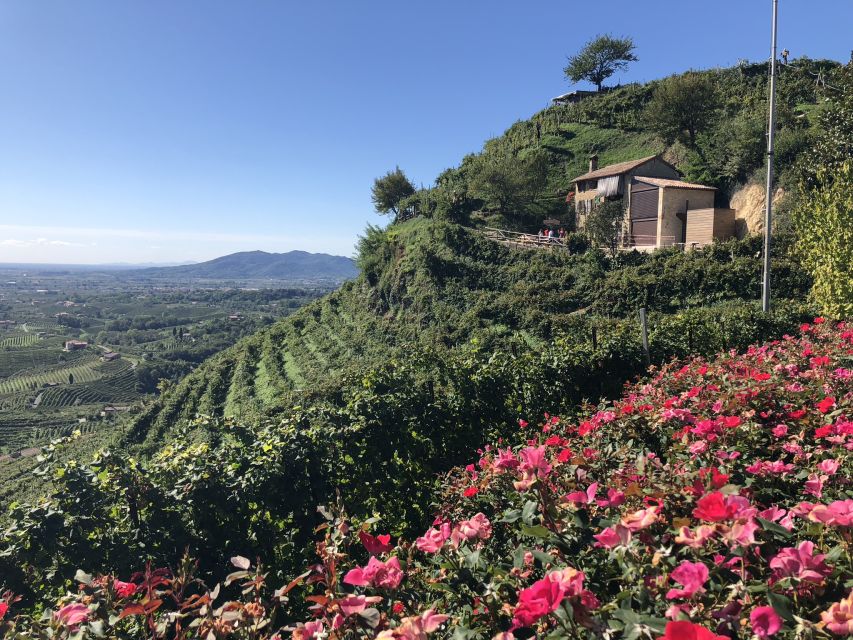 Venice: Prosecco Hills Wineries Tour With Tastings and Lunch - Scenic Views of the Hills
