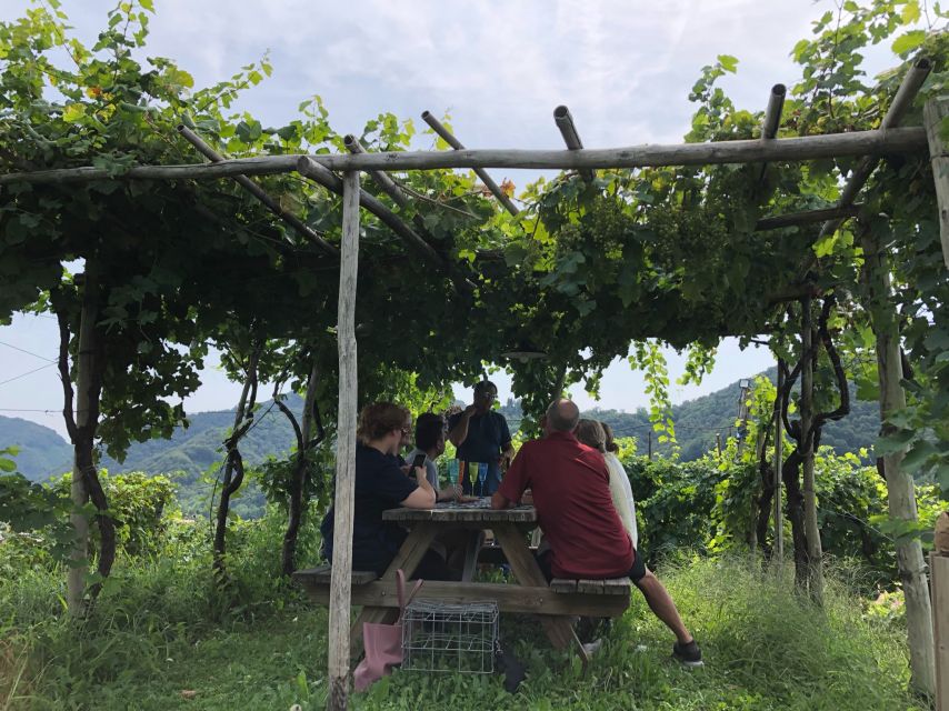 Venice: Prosecco Hills Wineries Tour With Tastings and Lunch - Small Group Experience
