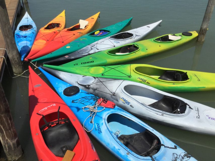 Venice: Sant'Erasmo, Vignole, and Lagoon Kayaking Tour - Viewing Marine Life and Skyline
