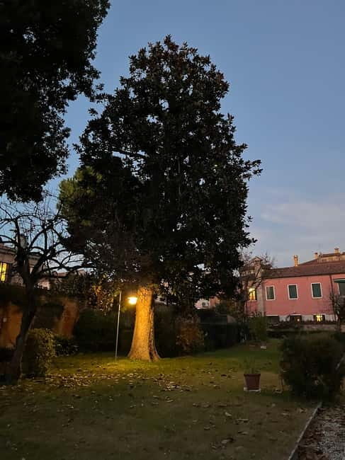 Venice: Sunrise Walking Tour with Espresso - Venice: Sunrise Walking Tour with Espresso — A Fresh Perspective