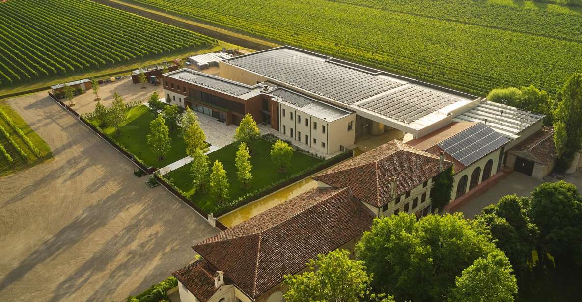Venice: Vineyards Tour and Wine Tasting (3 Wines) - Key Points