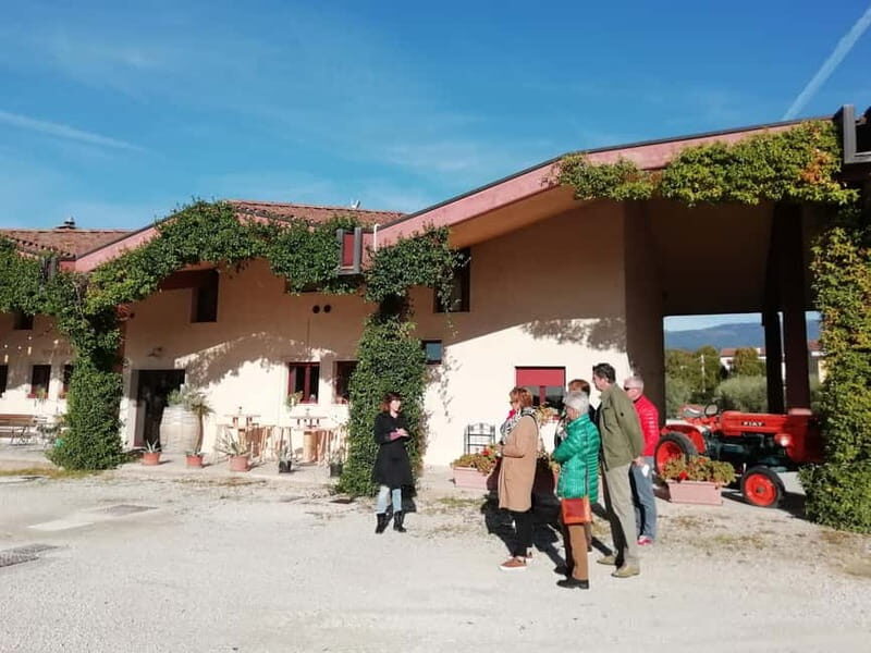 Venice: wine tour tasting along the Unesco Prosecco hills - Who This Tour Is For