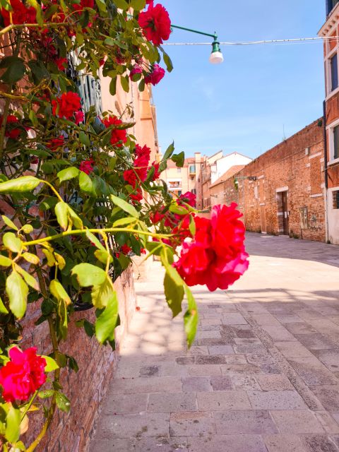 Venices Dark History and Culinary Delights - Key Points