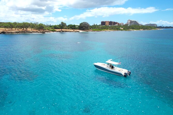 Venture Wildlife Snorkel Charter From Ko Olina - What to Expect During the Tour