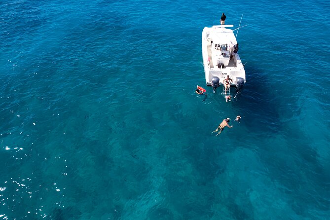 Venture Wildlife Snorkel Charter From Ko Olina - The Sum Up
