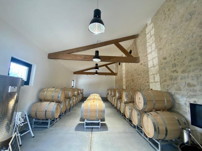 Vérac: Château L'Éperon Wine Tasting and Masterclass - Mastering the Art of Wine Pairing