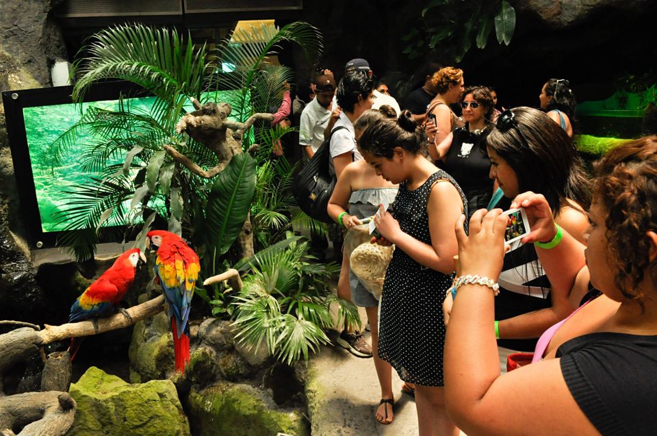 Veracruz: 5-Attraction Tour With Aquarium and Boat Tour - Frequently Asked Questions