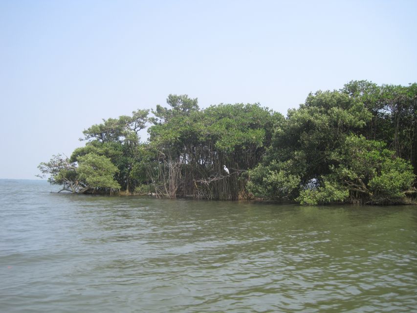 Veracruz: City Tour With Mandinga Boat Ride - Historical Sites Explored
