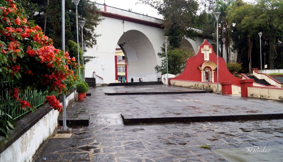 Veracruz: Guided Tour to Xalapa With Anthropology Museum - Key Points