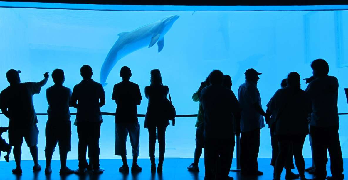 Veracruz: Sightseeing City Tour and Aquarium - Key Points