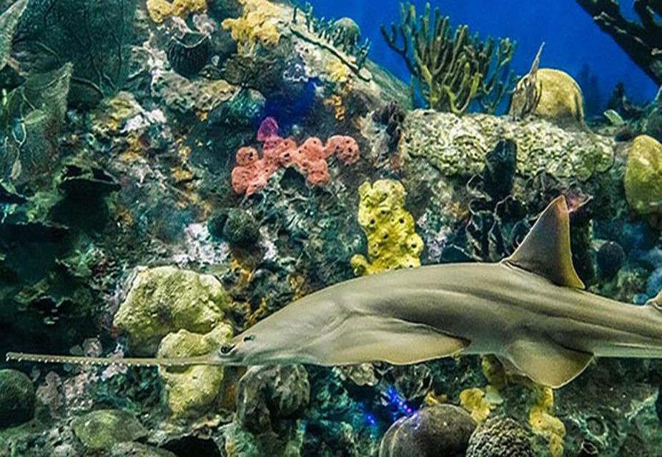 Veracruz: Sightseeing City Tour and Aquarium - Sightseeing Highlights