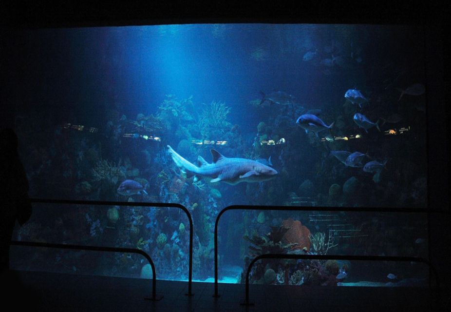 Veracruz: Sightseeing City Tour and Aquarium - Meeting Point and Schedule
