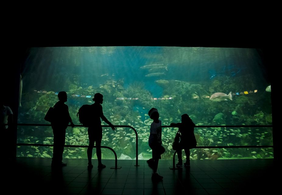 Veracruz: Sightseeing City Tour and Aquarium - Restrictions and Recommendations