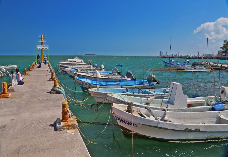 Veracruz: Sightseeing City Tour and Wax & Ripley's Museums - Veracruz Wax Museum