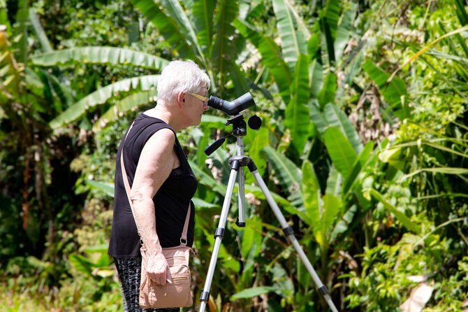 Veragua Rainforest Experience and Tram Ride in Puerto Limon - Pickup and Meeting Details