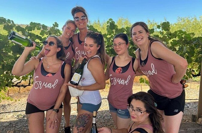 Verde Valley Private Wine Tasting Tour - Who Should Consider This Tour?