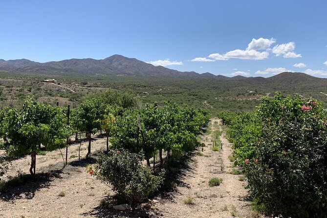 Verde Valley Wineries and Sedona Red Rocks Private Day Tour - What Makes This Tour Stand Out?