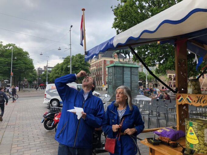 Vermeer'S Delft, the Mauritshuis and Rembrandt'S Leiden City - Participant Guidelines and Recommendations