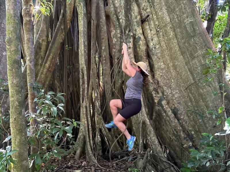 Vermont Nature Trail and Bird Watching Tour - An In-Depth Look at the Vermont Nature Trail and Bird Watching Tour