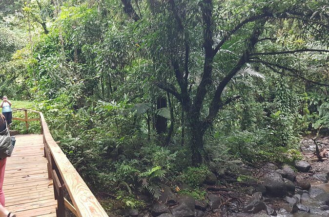 Vermont Nature Trail Hike - The Challenges and Downsides