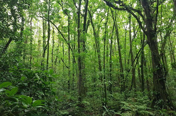 Vermont Nature Trail Hike - FAQ