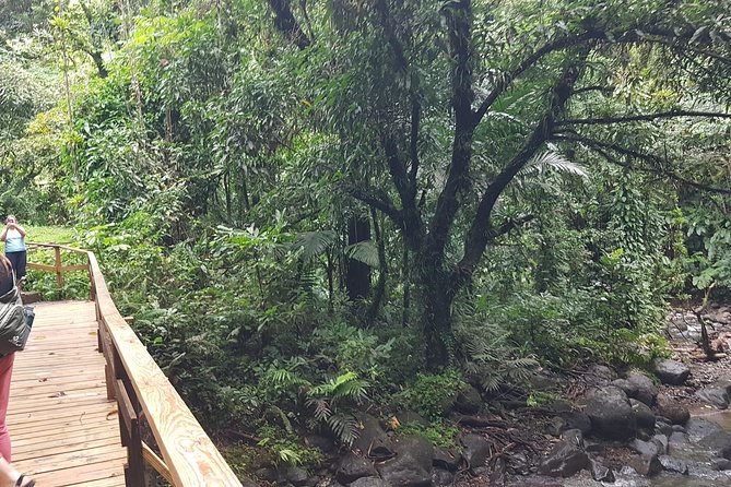 Vermont Nature Trail Hike - Visitor Information and Tips