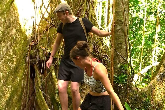 Vermont Nature Trail Tour with Fraser's Taxi and Tours - Who Will Enjoy This Tour?