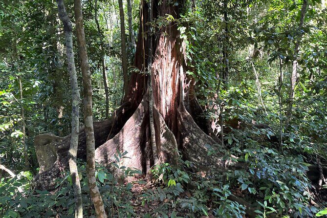 Vermont Nature Trail with Topdawg Taxi and Tours - FAQ About the Vermont Nature Trail Tour