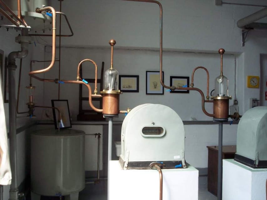 Vermouth and Spirits Tasting in a Distillery Near Turin - Activity Overview