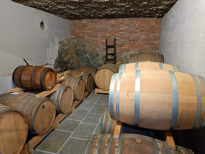 Vermouth and Spirits Tasting in a Distillery Near Turin - Scenic Location