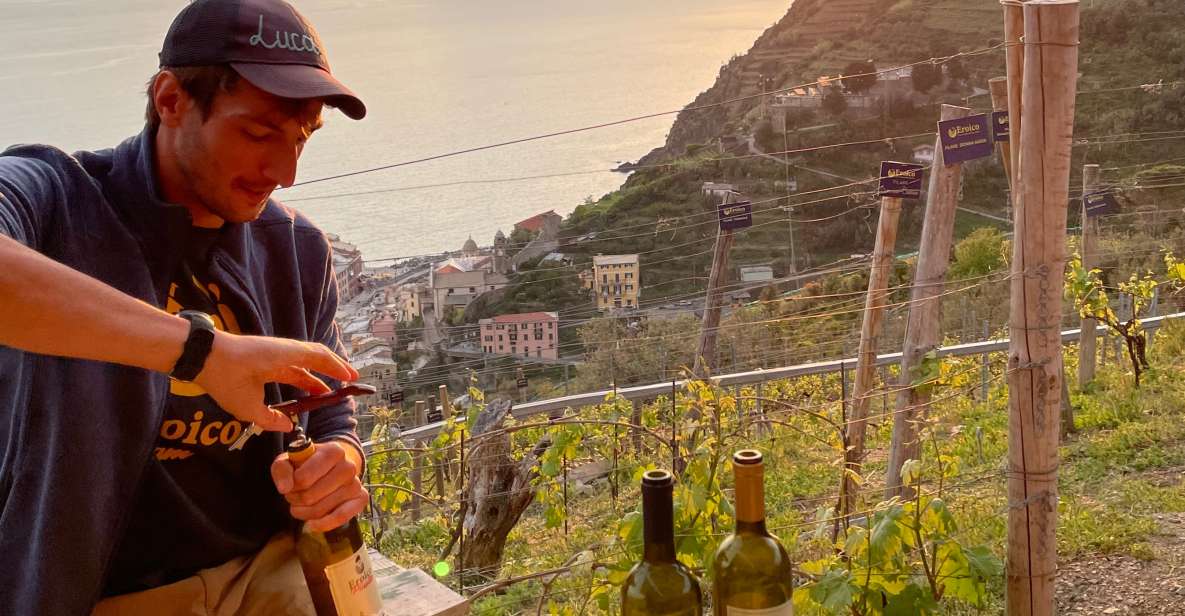 Vernazza: Panoramic Vineyard Trekking Tour With Wine Tasting - Key Points