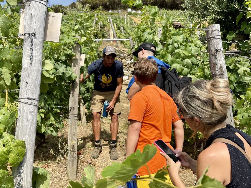 Vernazza: Panoramic Vineyard Trekking Tour With Wine Tasting - Itinerary Overview