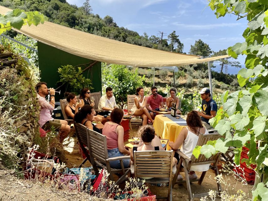 Vernazza: Panoramic Vineyard Trekking Tour With Wine Tasting - Availability and Booking
