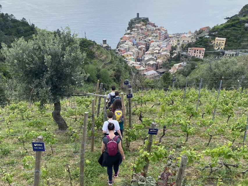 Vernazza: Panoramic Vineyard Trekking Tour With Wine Tasting - Frequently Asked Questions
