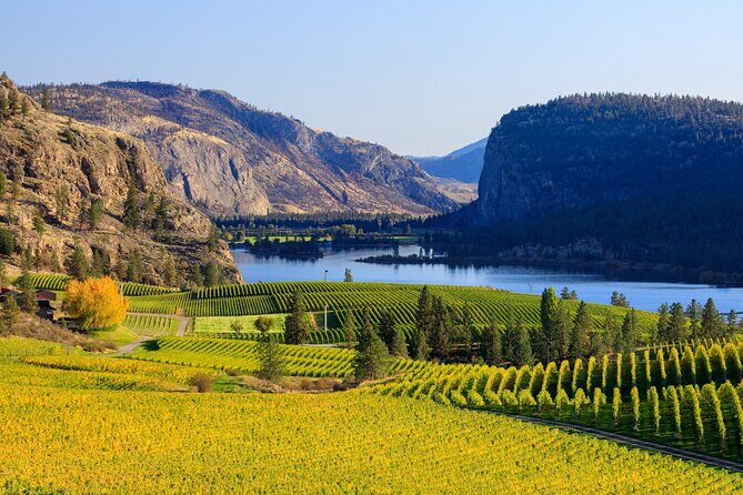 Vernon Private Wine & Boat Tour on Okanagan Lake - Key Points