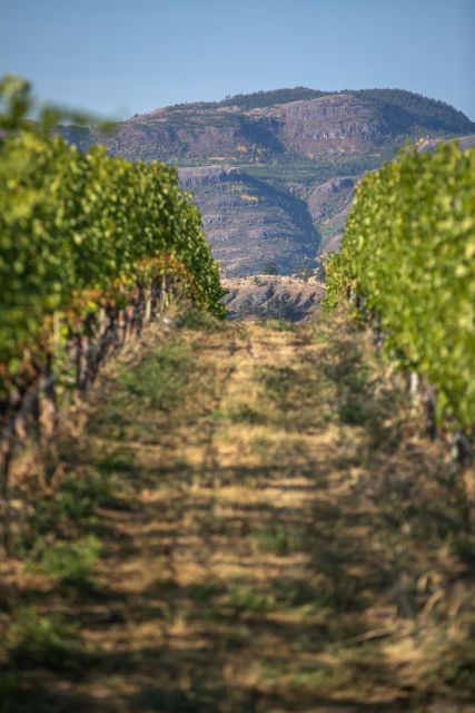 Vernon: Vernon Full Day Guided Wine Tour - Wine Tasting Experiences