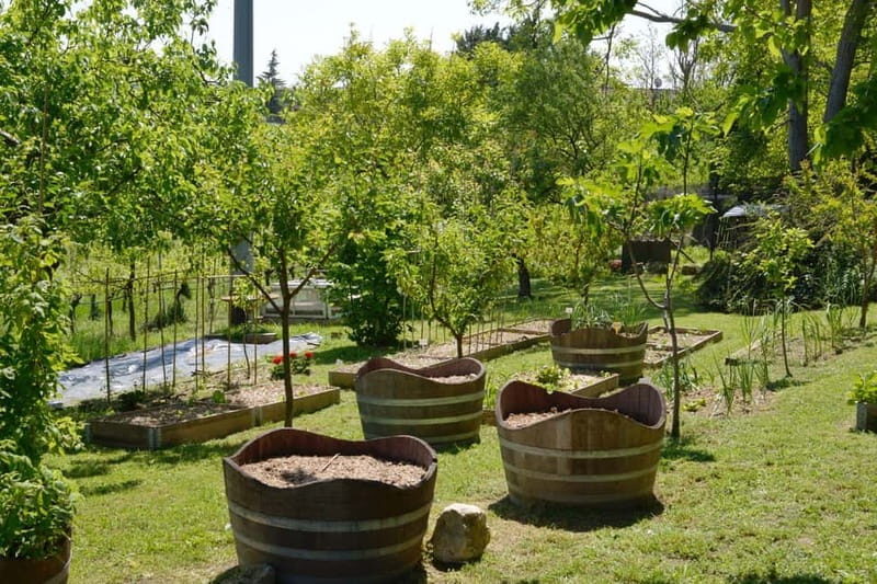 Verona: E-Bike Tour with Picnic at small winery - The Sum Up