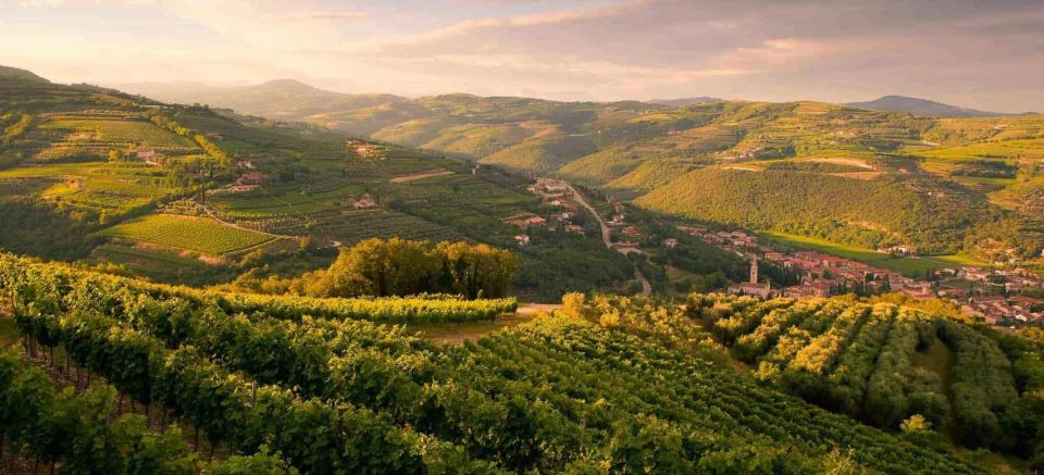 Verona: Food and Wine Tasting Tour - Key Points