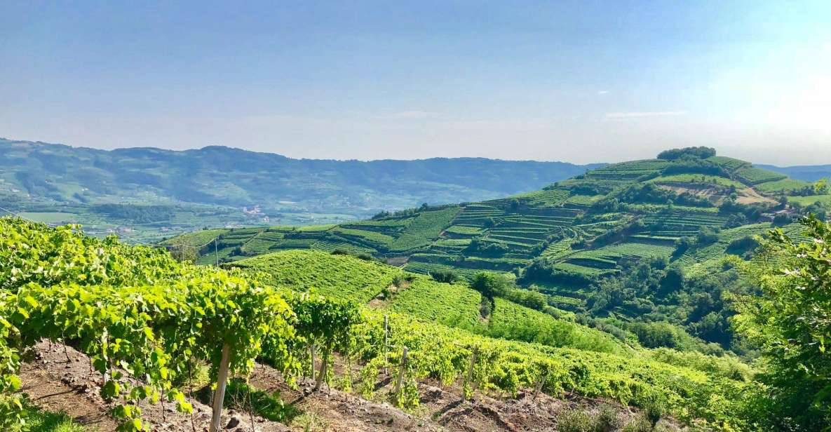 Verona: Food and Wine Tasting Tour - Booking Information