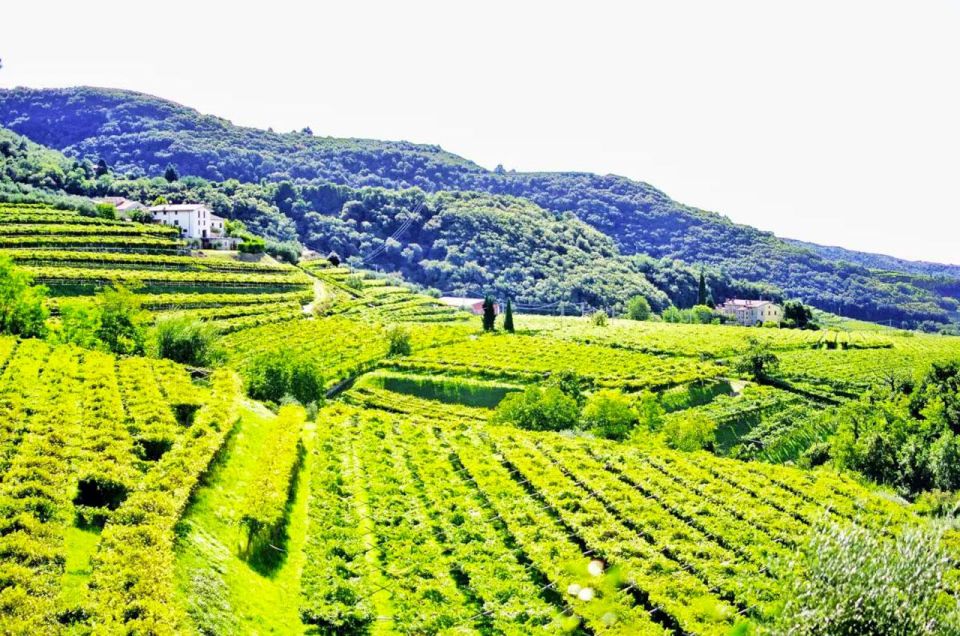 Verona: Food and Wine Tasting Tour - Tasting Experience Highlights