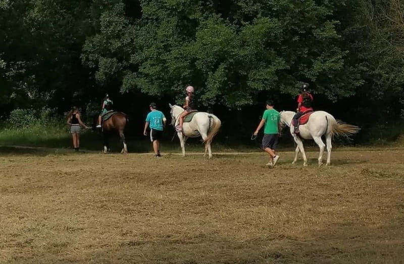 Verona: Horseback Ride Along the Adige River - The Guides and the Atmosphere