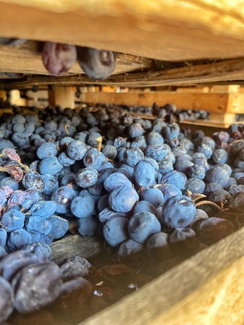 Verona: Pasta Cooking Class with Wine Tasting - FAQs